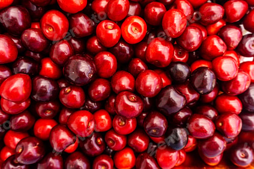 Preview: cherry Fruit Background, cherry Texture Pattern