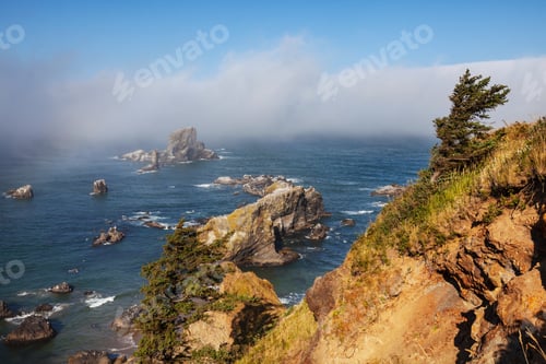 Preview: Oregon coast