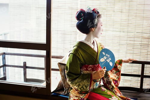 Preview: A woman dressed in the traeditional geisha style, wearing a kimono and obi, with an elaborate