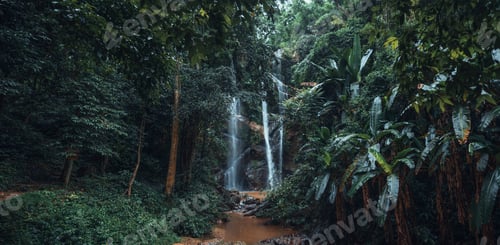 Preview: Waterfall in the tropical forest in the rainy season