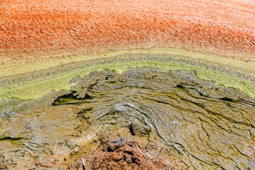 Preview: Brown foam floating on the water of a pond, contaminated with agricultural residues.