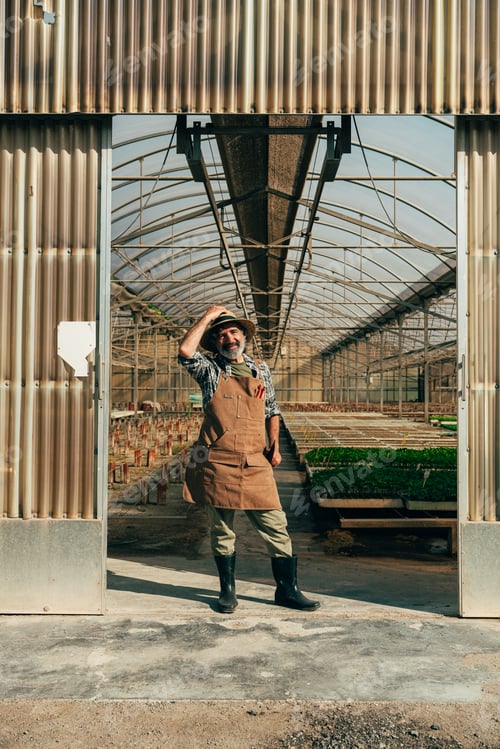 Preview: Farmer senior man working in his farm and greenhouse