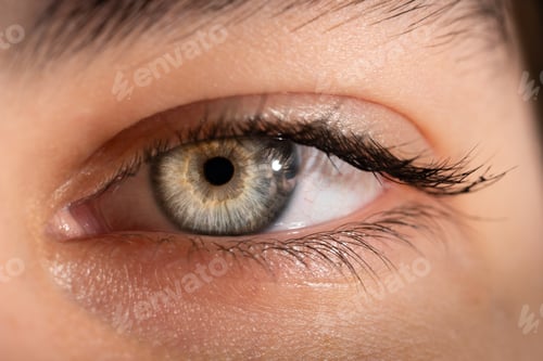 Preview: Closeup of a female eye