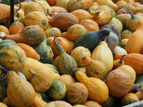 Preview: Closeup shot of a pile of orange green pumpkins and squash