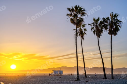 Preview: The famous Venice Beach in Los Angeles