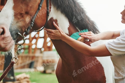 Preview: Clean skin. Happy woman with her horse on the ranch at daytime