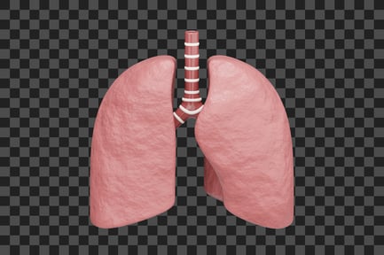 Preview: Lungs