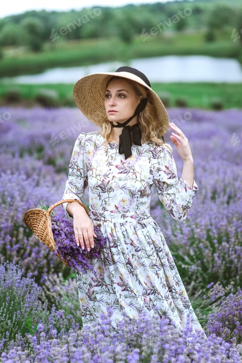 Preview: Beautiful woman in vintage dress harvesting herbs in lavender field