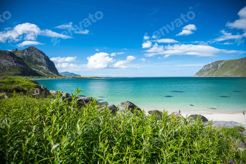 Preview: Beautiful landscape in Lofoten Islands in Summer, Norway
