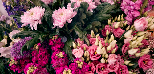 Preview: Close Up Of Colourful Bunches Of Flowers In Florists Shop Display