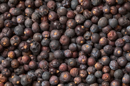 Preview: Dried juniper berries close up