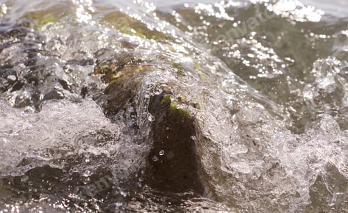 Preview: Sea With Algae And Waves In Summer