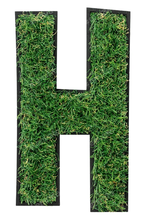 Preview: Letter H made of green grass isolated on white.