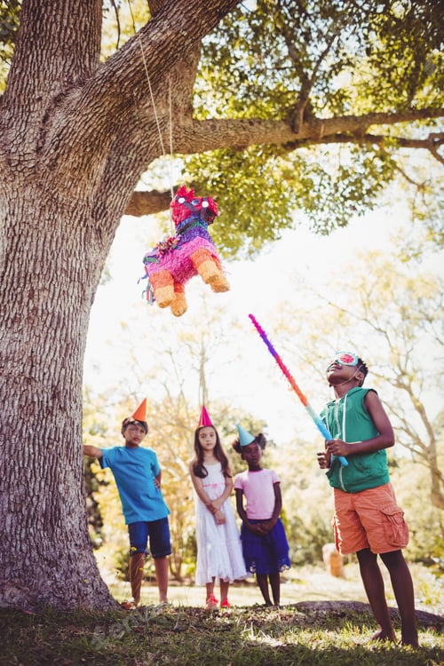Preview: Little boy is going to broke a pinata for his birthday