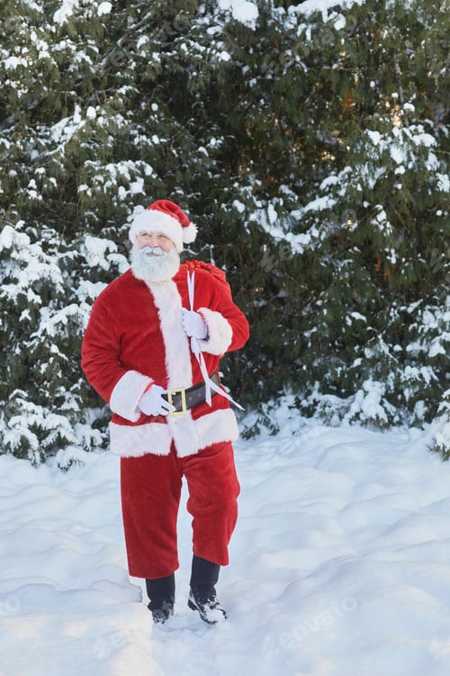 Preview: Santa Carrying Presents in Forest