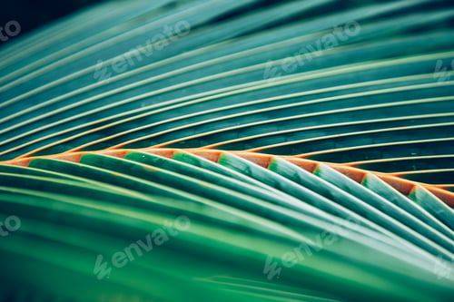 Preview: lush green tropical vegetation background