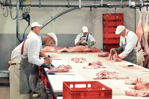 Preview: Processing of pig carcasses in a slaughterhouse