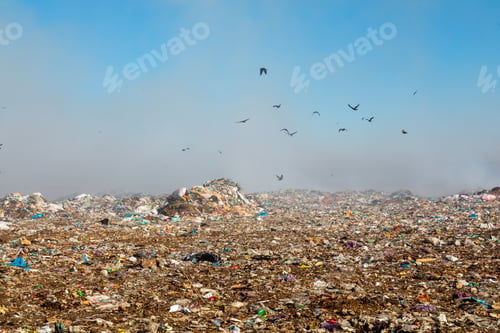 Preview: Burning trash piles in landfill