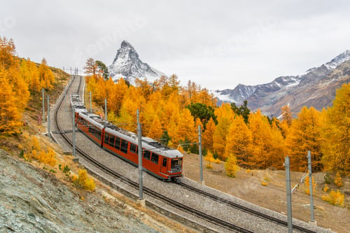 Preview: Gornergrat Railway Train, Matterhorn Mountain and Golden Larches in Autumn. Switzerland