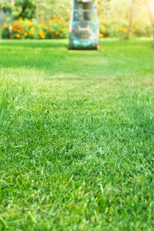 Preview: Man pushing lawn mower. Lawn care background, place for text