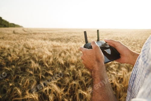 Preview: Male hands holding remote controller of quadcopter in wheat field