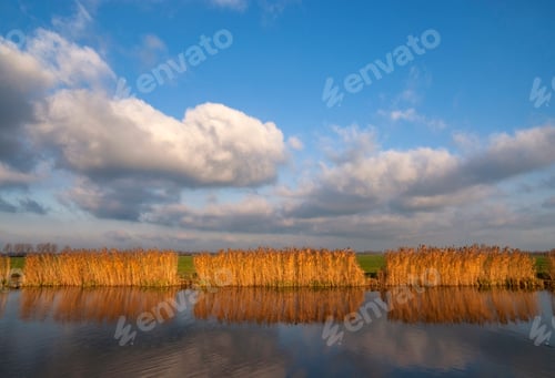 Preview: Reed lights up in the evening light