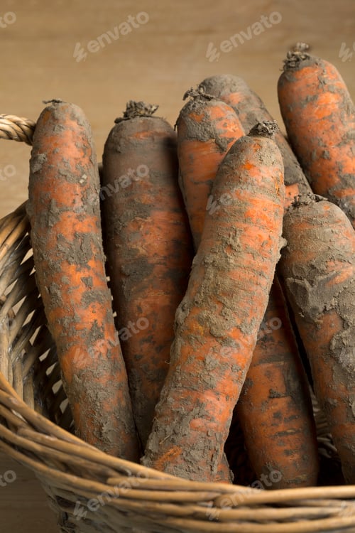 Preview: Fresh picked winter carrots covered with soil
