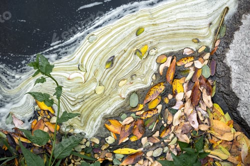 Preview: Dirty stains and leaves on the water as a background