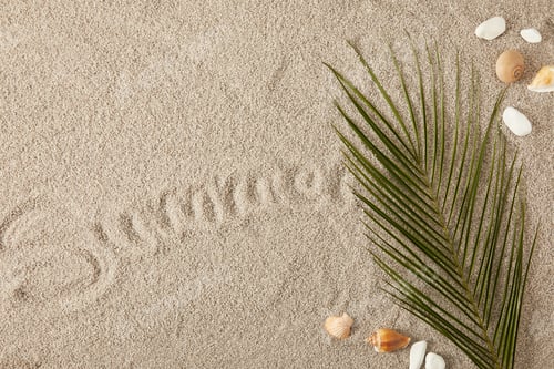 Preview: top view of green palm leaf, seashells and summer inscription on sand