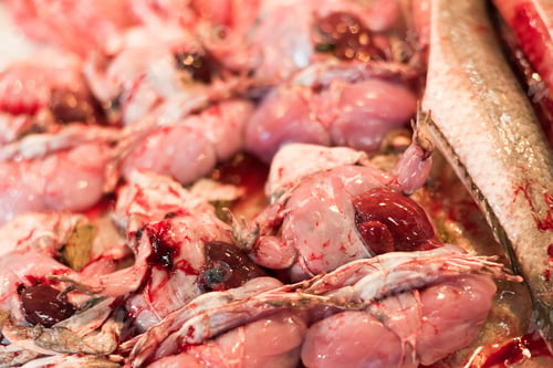 Preview: Meat Of Frog At The Traditional Market, Bangkok, Thailand