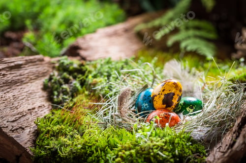Preview: Enjoy your Easter time in the green forest