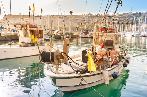 Preview: Fishing boats in harbor