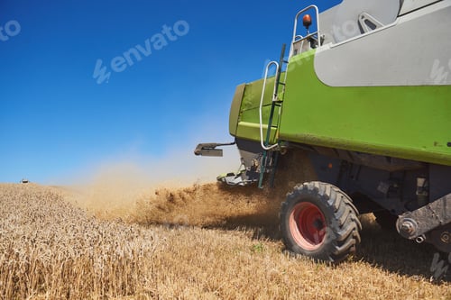 Preview: combine harvester working on a wheat field