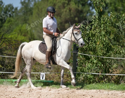 Preview: riding man and horse