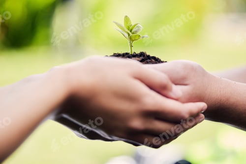Preview: Shot of two unrecognisable people holding a plant growing out of soil