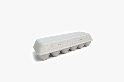 Preview: Six eggs in a carton tray