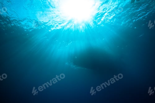 Preview: Blue waters of the ocean illuminated by bright sunlight
