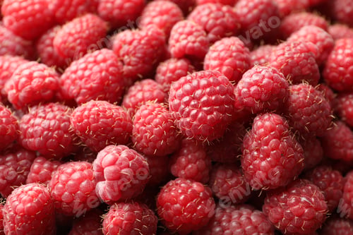 Vista previa: Many fresh ripe raspberries as background, closeup
