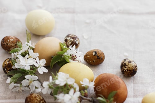 Preview: Happy Easter! Modern pastel easter eggs with spring flowers on rustic linen cloth, space for text