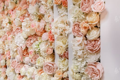Preview: Flowers wall background with amazing pink and white roses, peonies and hydrangeas, wedding