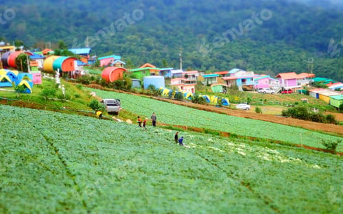 Preview: Community farm house in mountain closeup green fresh nature blur background
