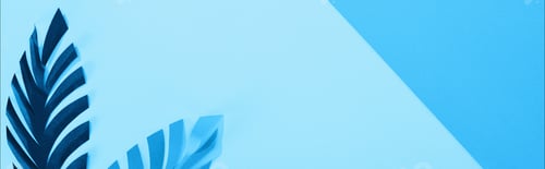 Preview: panoramic shot of paper leaves on blue minimalistic background with copy space