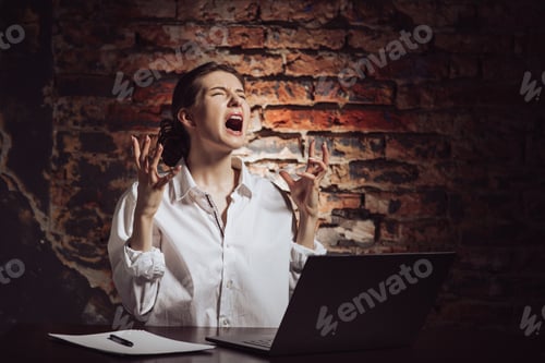 Preview: Desperate female entrepreneur working with laptop