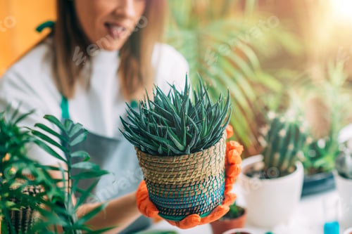 Preview: Female Gardener Holding a Potted Plant