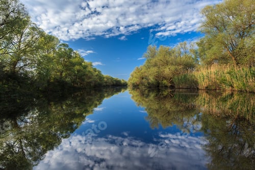 Preview: river channel