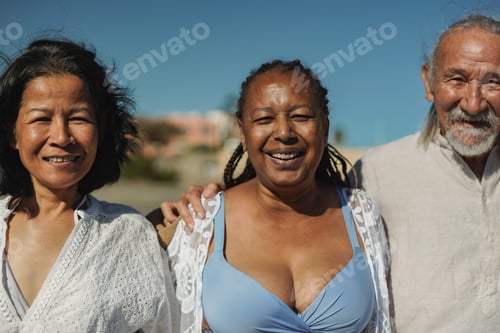 Preview: Multiracial senior people hugging each other on the beach during summer vacation
