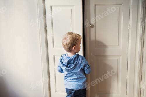 Preview: A rear view of toddler boy standing near door inside in a bedroom.