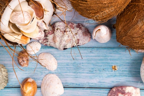 Preview: coconuts and seashells on a blue wooden background .Marine theme