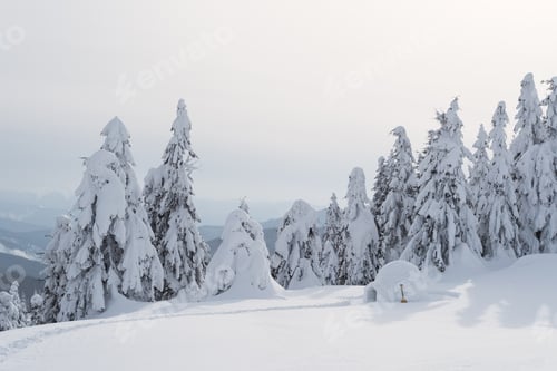 Preview: Winter landscape with a snow igloo