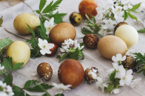Preview: Modern brown easter eggs with spring flowers on rustic linen cloth. Happy Easter! Aesthetic